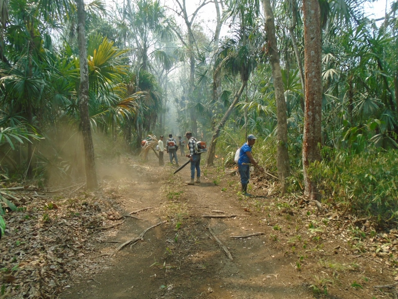 Concesiones Forestales de Petén, logran significativos resultados en su labor de prevención y combate de incendios forestales en la Reserva de la Biosfera Maya